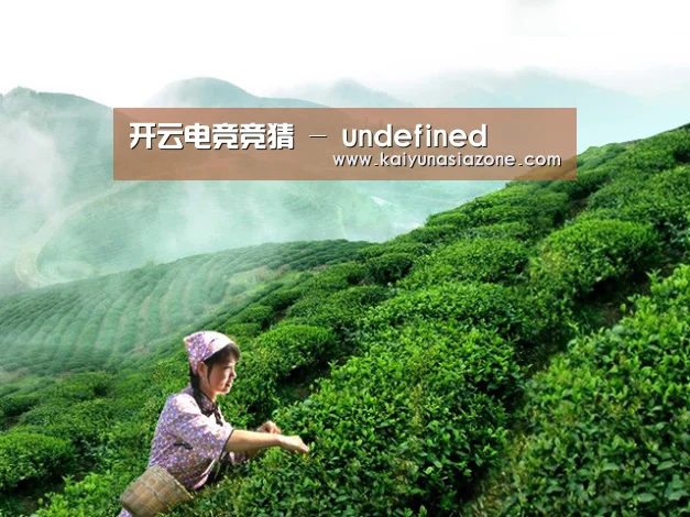 开云电竞竞猜 - undefined
