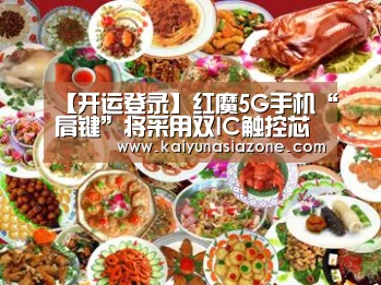 【开运登录】红魔5G手机“肩键”将采用双IC触控芯片:触控报点率达240Hz(图2) 开运官网