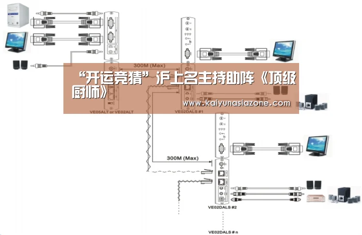 “开运竞猜”沪上名主持助阵《顶级厨师》(图2) 开运下载