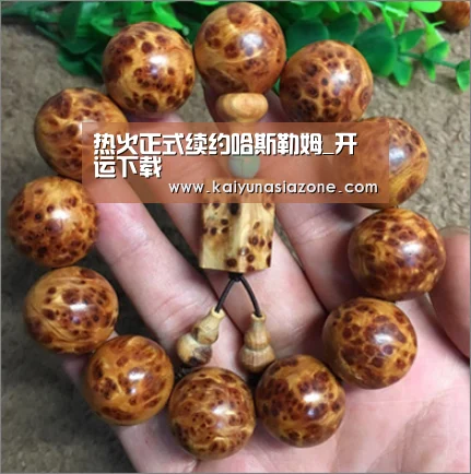 热火正式续约哈斯勒姆_开运下载(图1) 开运登录